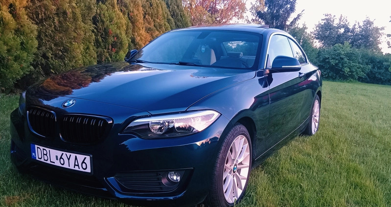 BMW Seria 2 cena 63900 przebieg: 117000, rok produkcji 2016 z Wrocław małe 106